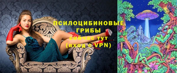 индика Алексин