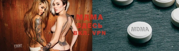 индика Алексин