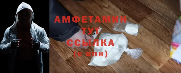 шишки Абаза
