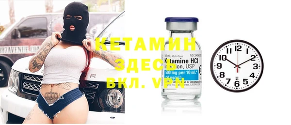 шишки Абаза