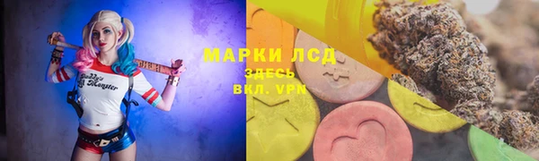 ГАЛЛЮЦИНОГЕННЫЕ ГРИБЫ Абинск