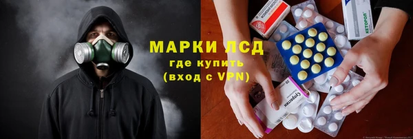индика Алексин