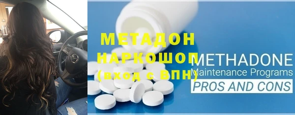 индика Алексин