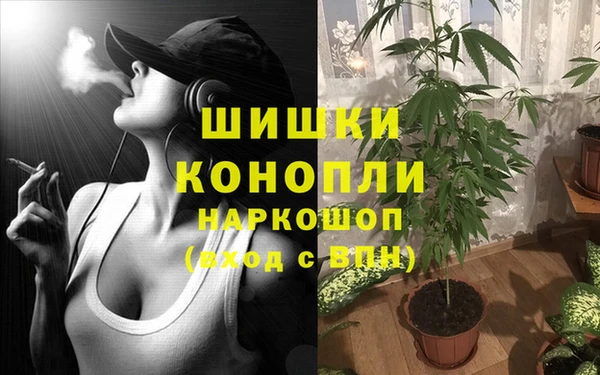 ГАЛЛЮЦИНОГЕННЫЕ ГРИБЫ Абинск