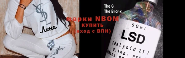 шишки Абаза
