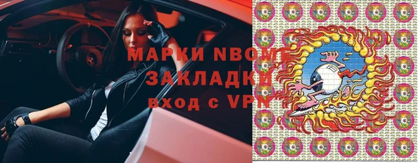 шишки Абаза
