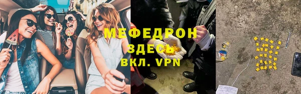 шишки Абаза